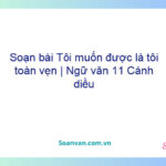 Soạn bài Tôi muốn được là tôi toàn vẹn | Ngữ văn 11 Cánh diều