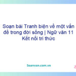 Soạn bài Tranh biện về một vấn đề trong đời sống | Ngữ văn 11 Kết nối tri thức