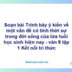 Soạn bài Trình bày ý kiến về một vấn đề có tính thời sự trong đời sống của lứa tuổi học sinh hiện nay | Kết nối tri thức Ngữ văn 9