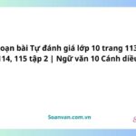 soạn bài tự đánh giá lớp 10 trang 113, 114, 115 tập 2 ngữ văn 10 cánh diều