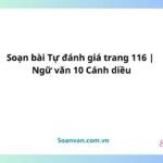 soạn bài tự đánh giá trang 116 ngữ văn 10 cánh diều