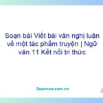 Soạn bài Viết bài văn nghị luận về một tác phẩm truyện | Ngữ văn 11 Kết nối tri thức