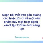 Soạn bài Viết văn bản quảng cáo hoặc tờ rơi về một sản phẩm hay một hoạt động | Chân trời sáng tạo Ngữ văn 9