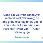 Soạn bài Viết văn bản thuyết minh có lồng ghép một hay nhiều yếu tố như miêu tả, tự sự, biểu cảm, nghị luận | Ngữ văn 11 Chân trời sáng tạo