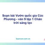 Soạn bài Vườn Quốc gia Cúc Phương | Chân trời sáng tạo Ngữ văn 9