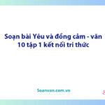 Soạn bài Yêu và đồng cảm | Ngữ văn 10 Kết nối tri thức