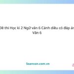 Đề thi học kì 2 ngữ văn 6 cánh diều có đáp án văn 6