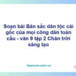 Soạn bài Bản sắc dân tộc: cái gốc của mọi công dân toàn cầu | Chân trời sáng tạo Ngữ văn 9