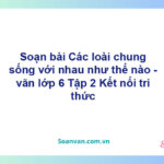 Soạn bài Các loài chung sống với nhau như thế nào? – Kết nối tri thức