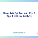 Soạn bài Cô Tô – Kết nối tri thức Văn 6