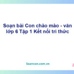 Soạn bài Con chào mào – Kết nối tri thức Văn 6