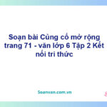 Soạn bài Củng cố, mở rộng trang 71 Tập 2 – Kết nối tri thức Văn 6