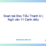 Soạn bài Đọc Tiểu Thanh kí | Ngữ văn 11 Cánh diều