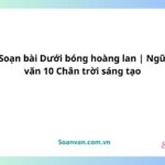 soạn bài dưới bóng hoàng lan ngữ văn 10 chân trời sáng tạo