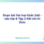 Soạn bài Hai loại khác biệt – Kết nối tri thức Văn 6