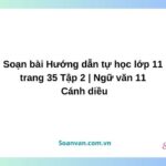 soạn bài hướng dẫn tự học lớp 11 trang 35 tập 2 ngữ văn 11 cánh diều