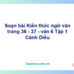 Soạn văn Kiến thức ngữ văn trang 3 - 4 – Cánh diều văn 6