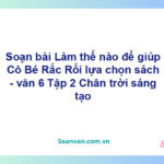 Soạn bài Làm thế nào để giúp Cô Bé Rắc Rối lựa chọn sách – Chân trời sáng tạo văn 6