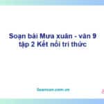 Soạn bài Mưa xuân | Kết nối tri thức Ngữ văn 9