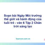 Soạn bài Ngày Môi trường thế giới và hành động của tuổi trẻ – Chân trời sáng tạo Văn 6