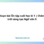 soạn bài Ôn tập cuối học kì 1 chân trời sáng tạo ngữ văn 9