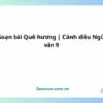 soạn bài quê hương cánh diều ngữ văn 9