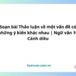 soạn bài thảo luận về một vấn đề có những ý kiến khác nhau ngữ văn 10 cánh diều