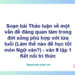 Soạn bài Thảo luận về một vấn đề đáng quan tâm trong đời sống phù hợp với lứa tuổi | Kết nối tri thức Ngữ văn 9