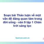 Soạn bài Thảo luận về một vấn đề đáng quan tâm trong đời sống | Chân trời sáng tạo Ngữ văn 9