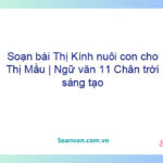 Soạn bài Thị Kính nuôi con cho Thị Mầu | Ngữ văn 11 Chân trời sáng tạo