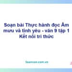 Soạn bài Âm mưu và tình yêu | Kết nối tri thức Ngữ văn 9