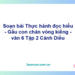 Soạn bài Thực hành đọc hiểu - Gấu con chân vòng kiềng – Cánh diều Văn 6