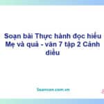 Soạn bài Mẹ và quả | Cánh diều Ngữ văn 7