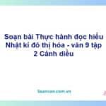 Soạn bài Nhật kí đô thị hóa | Cánh diều Ngữ văn 9