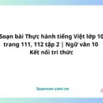 soạn bài thực hành tiếng việt lớp 10 trang 111, 112 tập 2 ngữ văn 10 kết nối tri thức