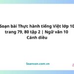 soạn bài thực hành tiếng việt lớp 10 trang 79, 80 tập 2 ngữ văn 10 cánh diều