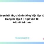 soạn bài thực hành tiếng việt lớp 10 trang 89 tập 2 ngữ văn 10 kết nối tri thức