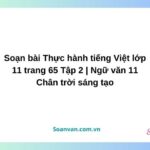 soạn bài thực hành tiếng việt lớp 11 trang 65 tập 2 ngữ văn 11 chân trời sáng tạo