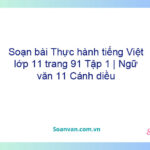 Soạn bài Thực hành tiếng Việt lớp 11 trang 91 Tập 1 | Ngữ văn 11 Cánh diều