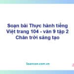 Soạn bài Thực hành tiếng Việt lớp 9 trang 104 Tập 2 | Chân trời sáng tạo Ngữ văn 9