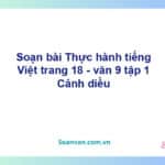 Soạn bài Thực hành tiếng Việt lớp 9 trang 18 Tập 1 | Cánh diều Ngữ văn 9