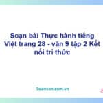 Soạn bài Thực hành tiếng Việt lớp 9 trang 28 Tập 2 | Kết nối tri thức Ngữ văn 9