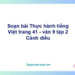 Soạn bài Thực hành tiếng Việt lớp 9 trang 41 Tập 2 | Cánh diều Ngữ văn 9