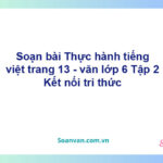 Soạn bài Thực hành tiếng việt trang 13 – Kết nối tri thức