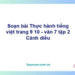 Soạn bài Thực hành tiếng Việt lớp 7 trang 9, 10 tập 2 | Cánh diều Ngữ văn 7