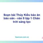 Soạn bài Thuý Kiều báo ân, bảo oán | Chân trời sáng tạo Ngữ văn 9