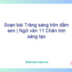 Soạn bài Trăng sáng trên đầm sen | Ngữ văn 11 Chân trời sáng tạo