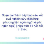 Soạn bài Trình bày báo cáo kết quả nghiên cứu (Kết hợp phương tiện ngôn ngữ và phi ngôn ngữ) | Ngữ văn 11 Kết nối tri thức