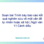 Soạn bài Trình bày báo cáo kết quả nghiên cứu về một vấn đề tự nhiên hoặc xã hội | Ngữ văn 11 Cánh diều