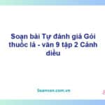 Soạn bài Gói thuốc lá | Cánh diều Ngữ văn 9